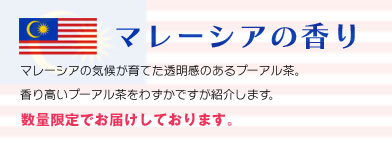 マレーシアで育ったプーアル茶の優雅な香りをお楽しみください。