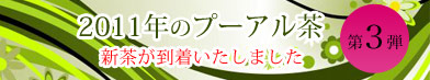 新茶第3弾です。