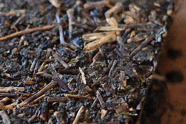茯磚茶 特制 写真:プーアール茶の茶葉
