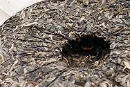 孔雀の郷布朗大樹茶生茶 写真:プーアール茶の茶葉裏面