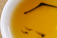大益茶7542 写真:プーアル茶のお茶の色
