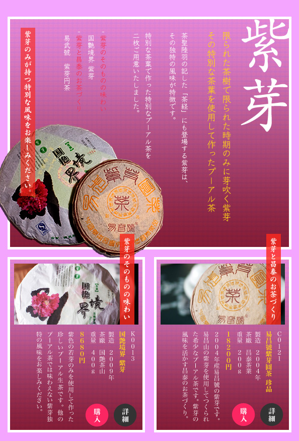 限られた茶樹で限られた時期のみに芽吹く紫芽。その特別な茶葉を使用して作ったプーアル茶