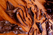 Yichanghao Yiwu Seven Cake Puer Zhuan Ti VersionPremium Product photo:Infused tea leaf