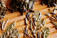 Yichanghao Yiwu Seven Cake Puer Copy TeaZhuan Ti Ban photo:Infused tea leaf