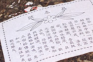 初代昌泰号復刻品 写真:プーアール茶