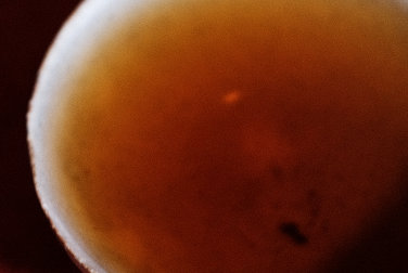 衛榮號 己丑倉雲  写真:プーアル茶のお茶の色