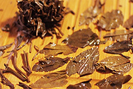 Yi Chang HaoWeight Loss Tea photo:Infused tea leaf