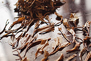 Mingxianshi Yichanghao Old Wild TeaMangzhuan photo:Infused tea leaf