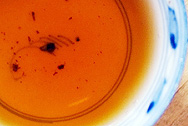 茗間時易昌號野生古樹茶倚邦 写真:プーアル茶のお茶の色