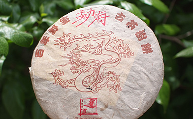 茗間時易昌號野生古樹茶孟海プーアル茶写真