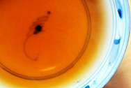 昌泰號 版納七子餅茶2004 写真:プーアル茶のお茶の色