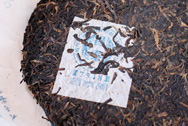 雲南昌泰號プーアル茶生餅7548 写真:プーアール茶の茶葉