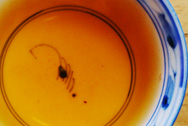 易昌號易武七子餅茶珍品 写真:プーアル茶のお茶の色