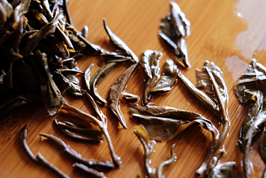 易昌號易武七子餅茶 珍品 写真:プーアル茶葉底
