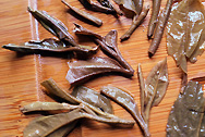 昌泰號老陳的茶班章 写真:プーアル茶葉底
