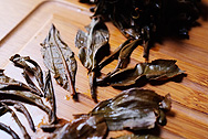 Mengku spring bud photo:Infused tea leaf