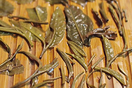  photo:Infused tea leaf