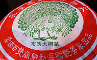 Bulang old tea tree at Peacock villageGreen puerh プーアル茶