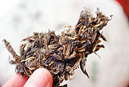 国艶境界老曼峨 写真:プーアール茶の茶葉裏面