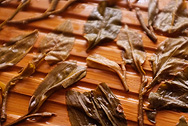  photo:Infused tea leaf