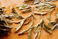 Lao Tongzhi7548 photo:Infused tea leaf