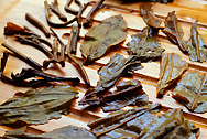 Gold Dayi photo:Infused tea leaf
