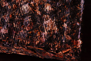 Dayi brick teaYellow leaf photo:Back of tea leaf
