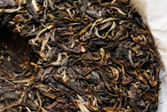 紫大益 写真:プーアール茶の茶葉裏面
