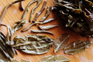 Dayi tea7532 photo:Infused tea leaf