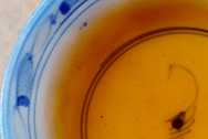 鳳山有機 生茶 写真:プーアル茶のお茶の色