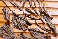 The tea of SFTM photo:Infused tea leaf