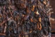 プーアル熟磚茶7581 写真:プーアール茶の茶葉裏面