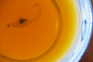 下関双傑泡餅FT8653 写真:プーアル茶のお茶の色