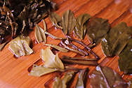 Lucky, Wealth, Long life, Happiness-Tuo cha photo:Infused tea leaf