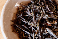 Xiaguan Spring tea budsFirst class photo:Puerh tea leaf