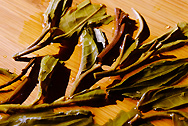 下関沱茶 大白菜 精品 生茶 写真:プーアル茶葉底