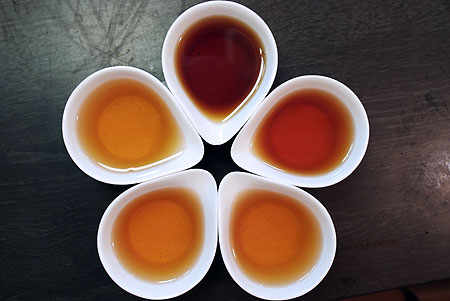 profound puerh tea photo