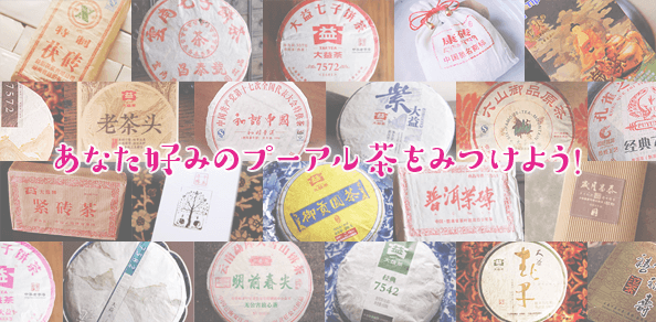 あなた好みのプーアル茶をみつけよう!メイン写真