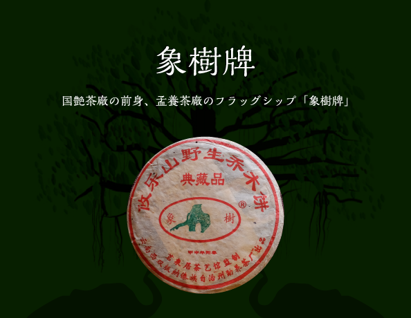 孟養茶廠のフラッグシップ「象樹牌」