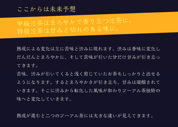 ここからは未来予想