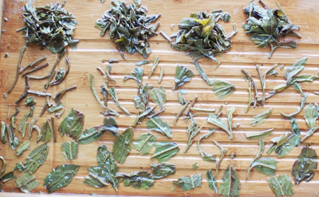 易昌號、プーアル茶の葉底はふっくらとして柔らかな茶葉を見ることができます。