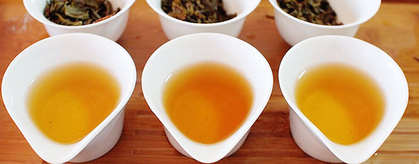 プーアル茶のレシピを比べる生茶:7542･7532･8582メイン写真