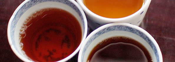 生茶の熟成度の違いを見るメイン写真